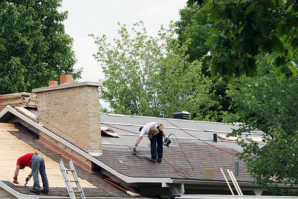 Professional Roofing Contractor in Mount Carmel, PA
