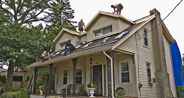 Best Storm Damage Roof Repair  in Mount Carmel, PA